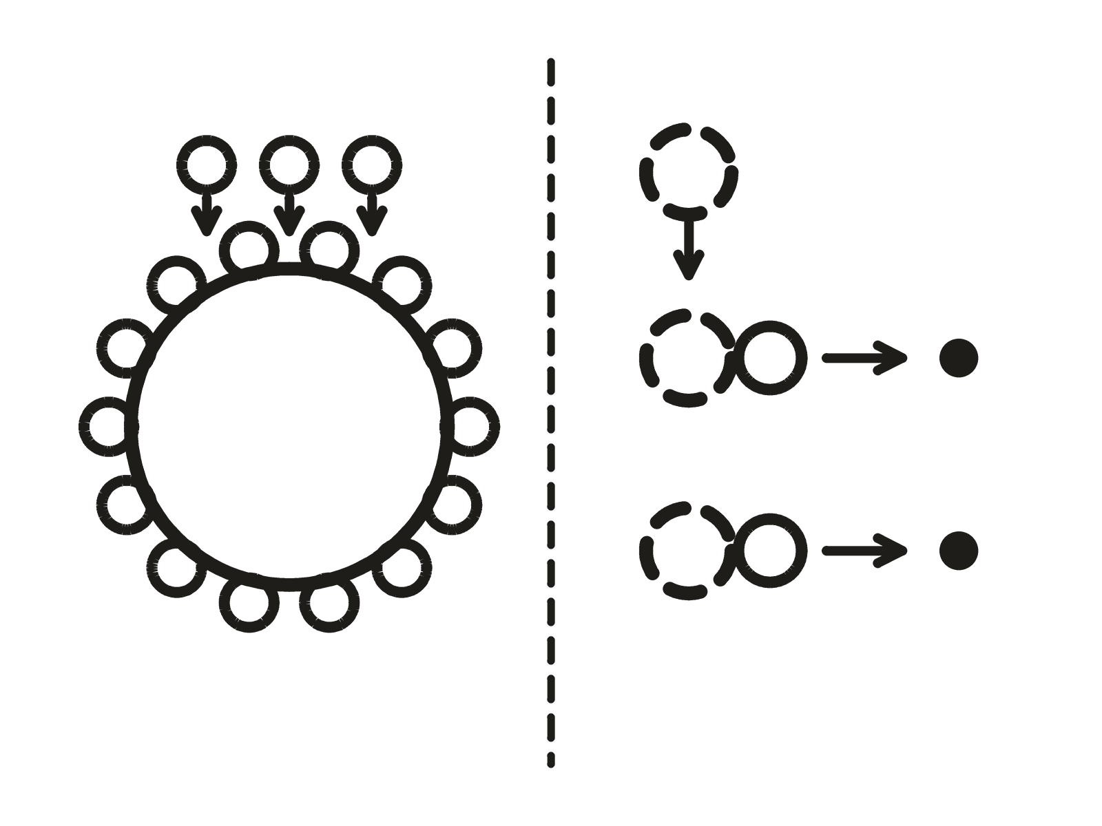 Two panels. A round grain of media with particles held around its edge, and beside it a pair of marks becoming one.